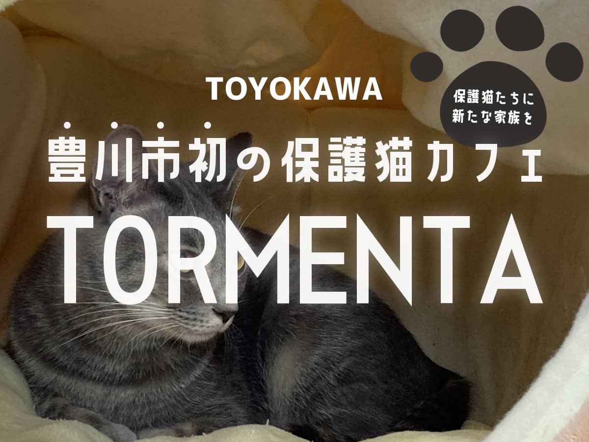 保護猫カフェ