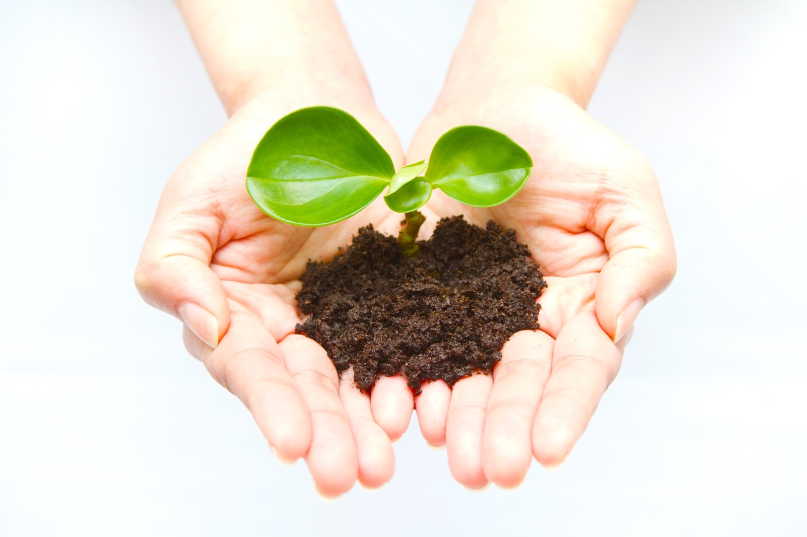 アントレナープレナーとは？2