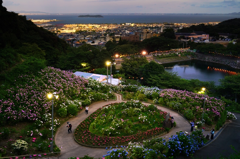形原温泉_あじさいの里