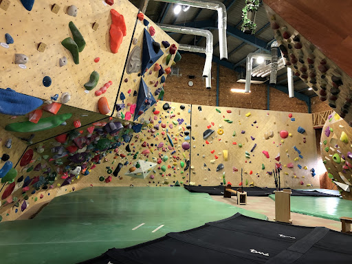 梅雨でも遊べるcactus2(カクタス2)