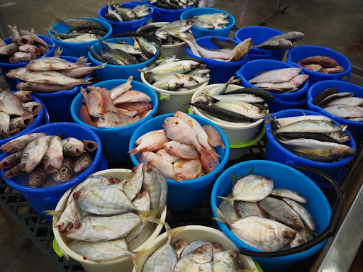 とまりん魚問屋の直営店