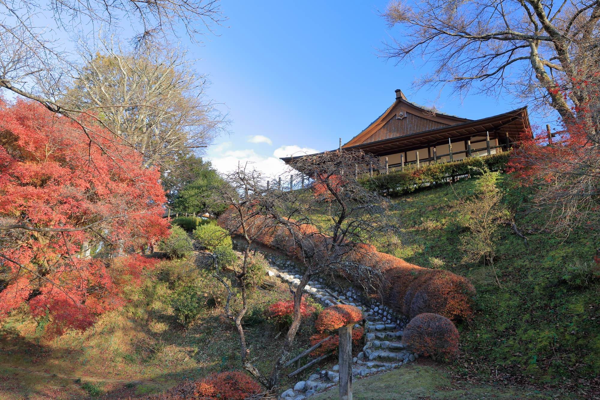 田峯城