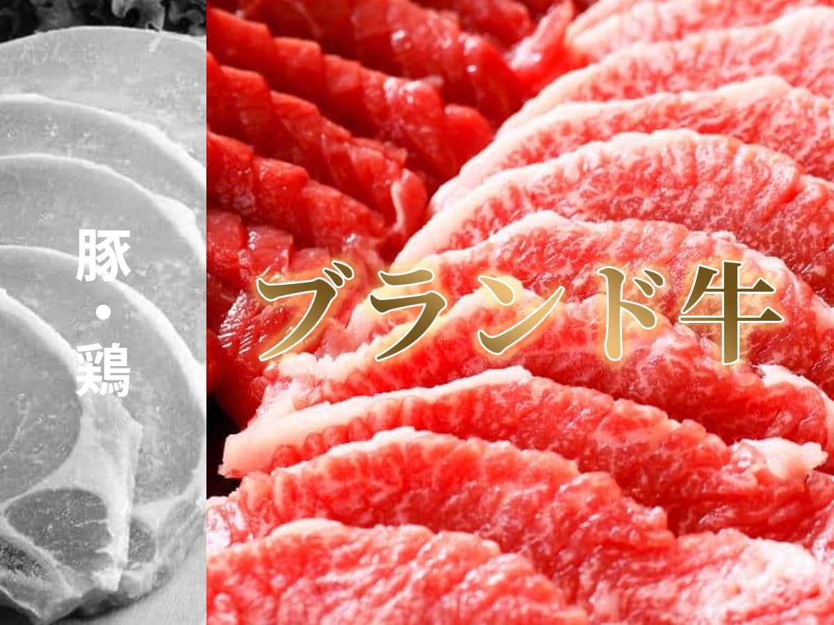 夏のボーナス_鳳来牛・豊橋牛・伊良湖黒牛