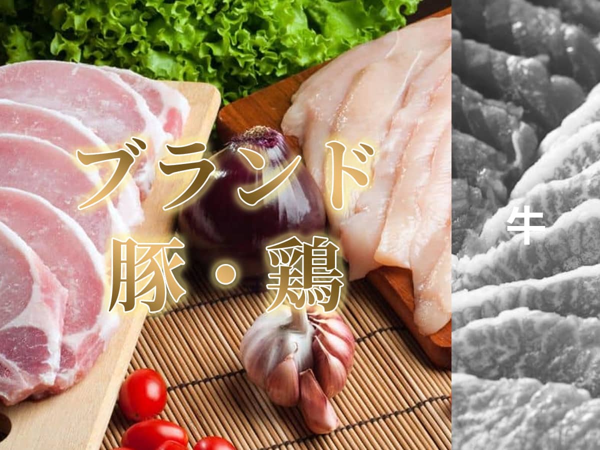 夏のボーナス_ブランド豚肉・ブランド鶏肉