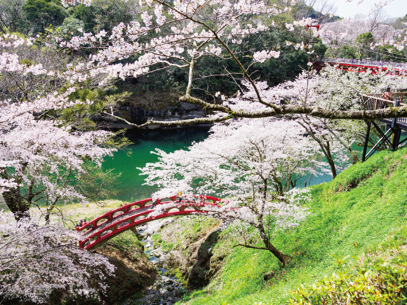 桜淵公園
