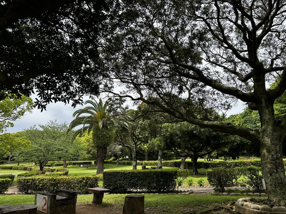 田原市緑が原公園バーベキュー場